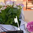 Prize și accesorii multimedia pentru mobilier